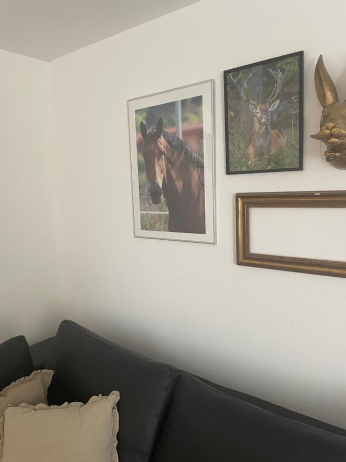 Luises Ferienglueck Leilighet Vernawahlshausen Eksteriør bilde